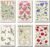 NATJUN Stunning Flower Poster Canvas Set – 6 Piece Frameless Artwork for Home Decor – Vibrant Floral Prints (Unframed: 08×12) Poster