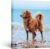 WEGA Custom Canvas Prints with Your Photos(8” W X 10” H Framed) Personalized Canvas Wall Art for Bedroom,Living Room,HomeOffice,Chrismas Photo Gifts for Mom,Women,Family
