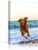NWT Custom Canvas Prints with Your Photos for Pet/Animal, Personalized Canvas Pictures for Wall to Print Framed 24×16 inches
