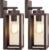 Outdoor Wall Light Fixtures, Exterior Waterproof Wall Lanterns, Brown Porch Sconces Wall Mounted Lighting with E26 Sockets & Glass Shades, Modern Wall Lamps for Patio Front Door Entryway, 2-Pack