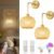 Gold Battery Operated Wall Sconces Set of 2 with Remote, Rechargeable Rattan Battery Powered Wall Lights/Lamps, Wireless Boho Lighting Fixtures for Bedroom Farmhouse, 15 Colors Dimmable