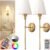 DORESshop Battery Operated Wall Sconce Set of 2, Wall Light Wireless Easy to Install Remote Control, Dimmable and Adjustable Sconces Wall Decor, Rechargeable Wall Lamp for Bedroom, Living Room, Gold