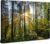 Sunrise Forest Wall Art for Living Room Sunset Mountain Landscape Picture Nature Wall Decor Green Trees Scenery Poster Prints Photo Tropical Woodland Painting Artwork Home Bedroom Decorations 12×16”